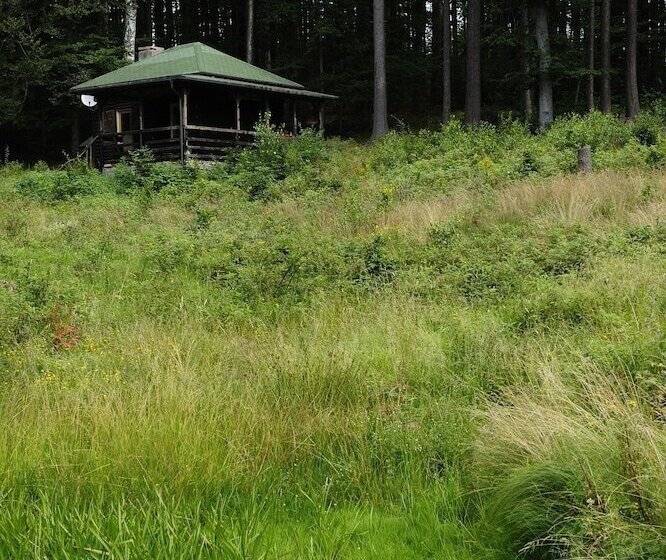 Отель Jagdschloss Windenhütte