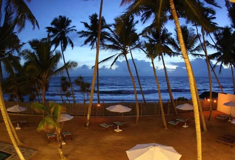 ホテル Oasis Ayurveda Beach