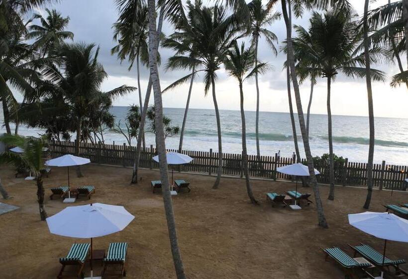 酒店 Oasis Ayurveda Beach