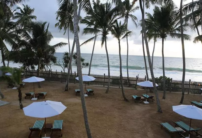 ホテル Oasis Ayurveda Beach