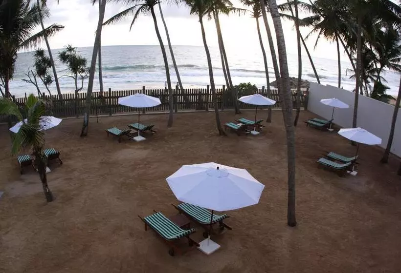 ホテル Oasis Ayurveda Beach