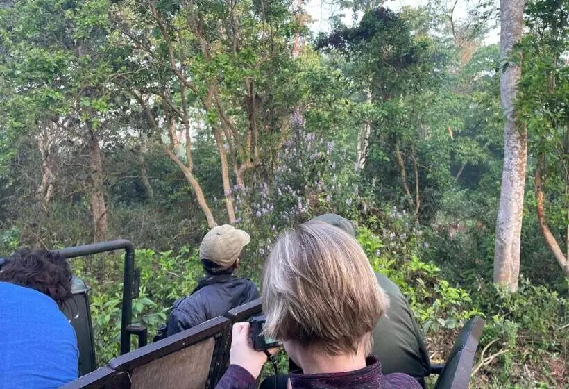 هتل Tree Tops