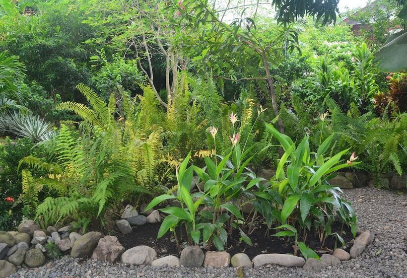 אתר נופש Dolce Uvita