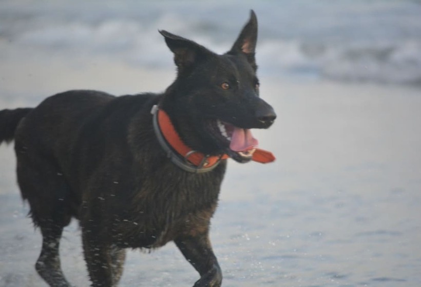 אתר נופש Dolce Uvita