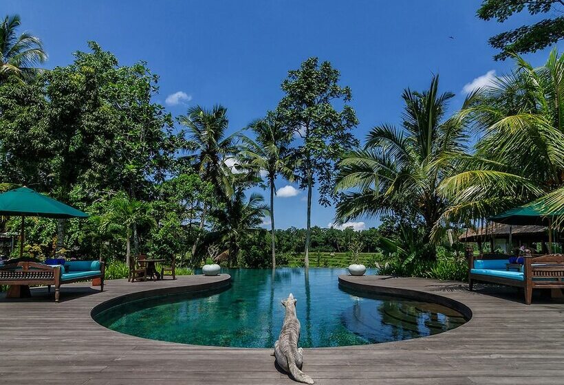 منتجع Permata Ayung Private Estate