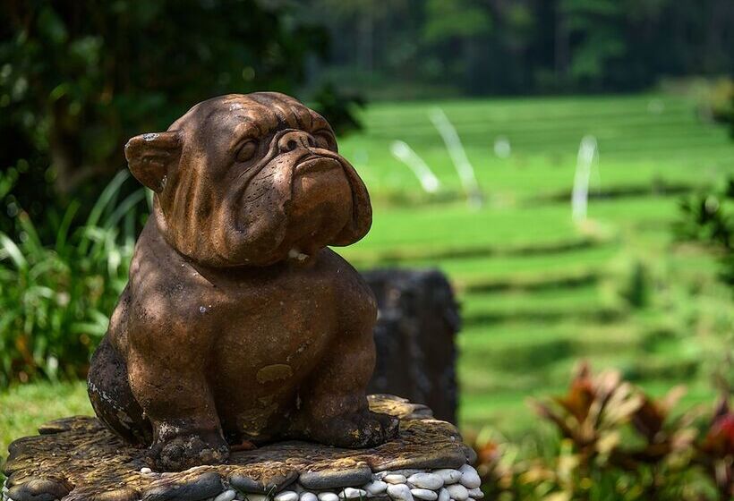 منتجع Permata Ayung Private Estate