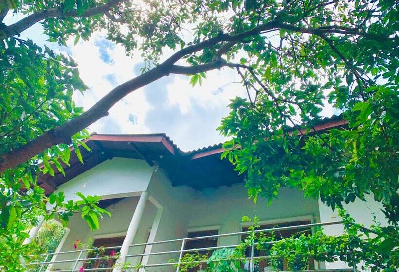 Rich Resort & Restaurant