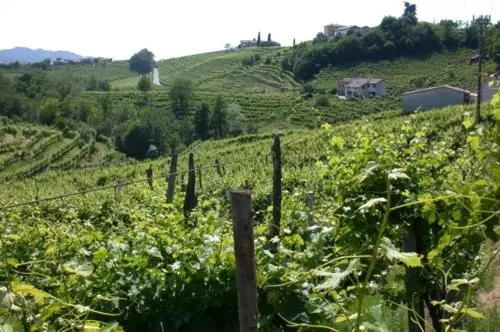 B&b Alla Pergola