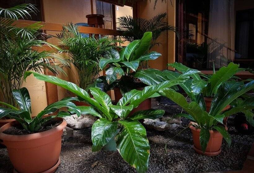 تختخواب و صبحانه Greemount