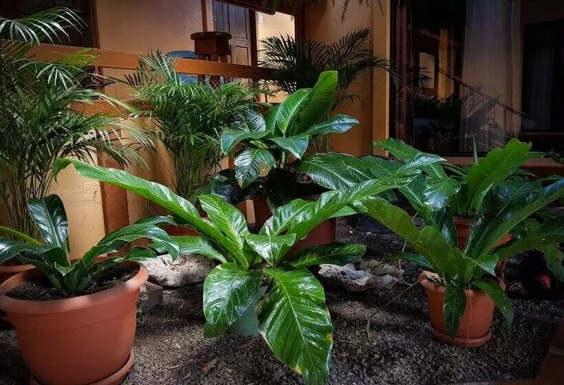 Aamiaismajoitus (B&B) Greemount