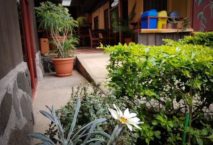 تختخواب و صبحانه Greemount