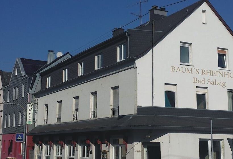 ホテル Baums Rhein