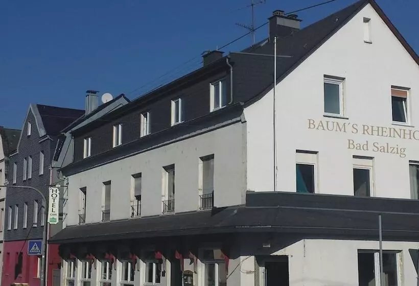 ホテル Baums Rhein