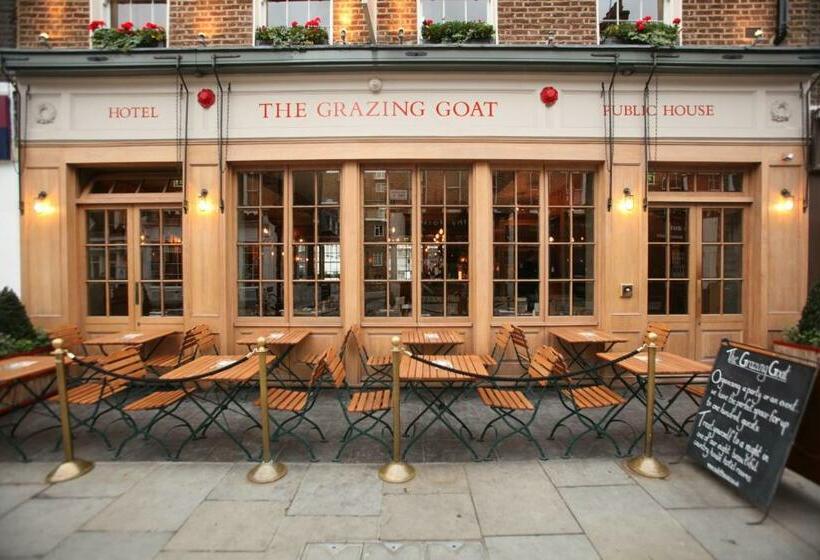 هتل The Grazing Goat