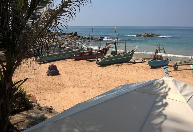 住宿加早餐 Villa Crocodile Beach