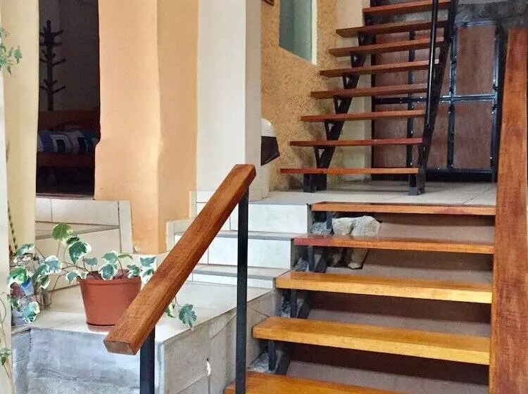 Big Vacation Hostel