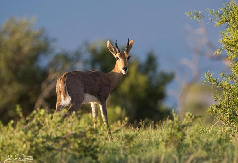 酒店 The Royal Fischer