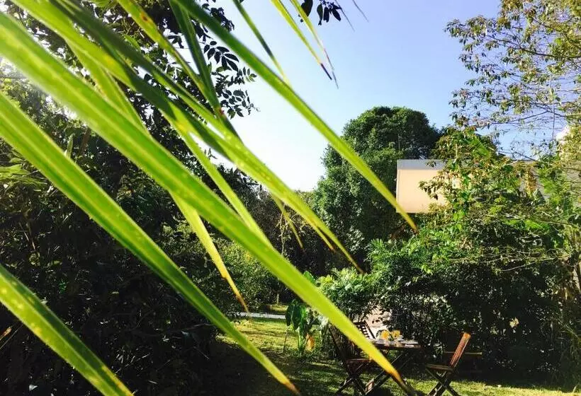 ホテル Casa Maya Calakmul