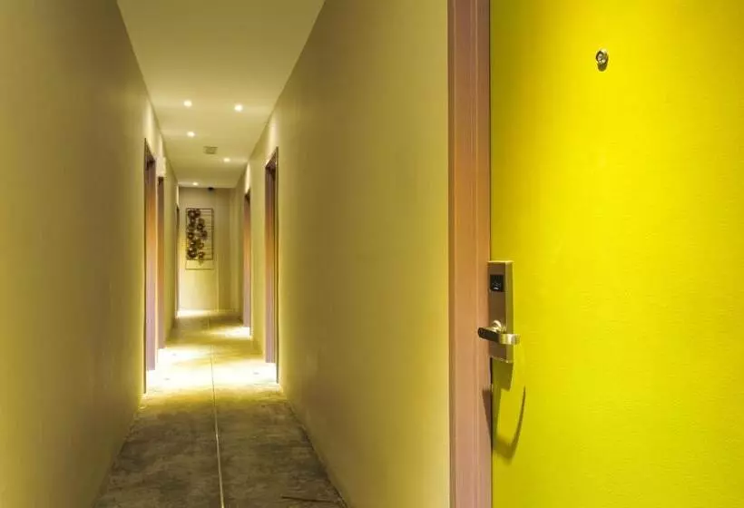 Hotel Finess Basic