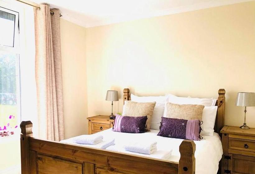 酒店 The Llanelwedd Arms