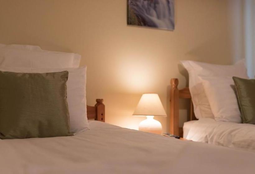 酒店 The Llanelwedd Arms