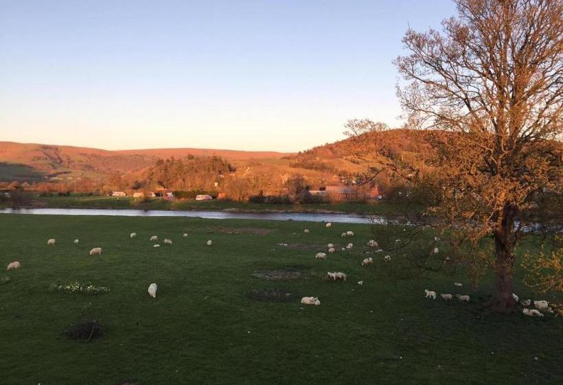 酒店 The Llanelwedd Arms