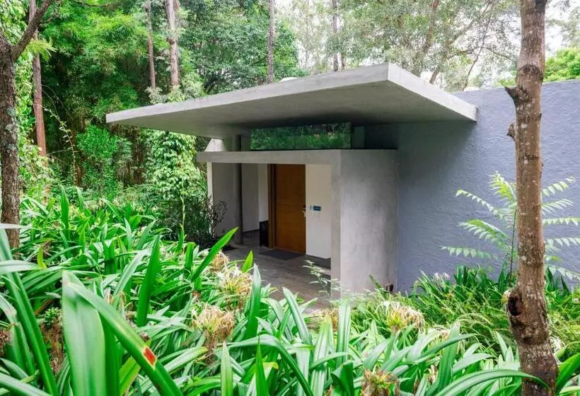 Java Rain Resort