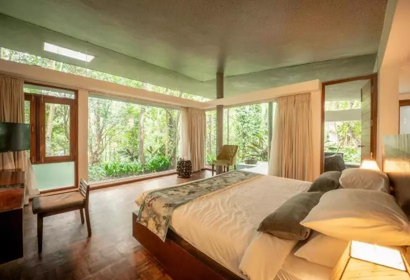 Java Rain Resort