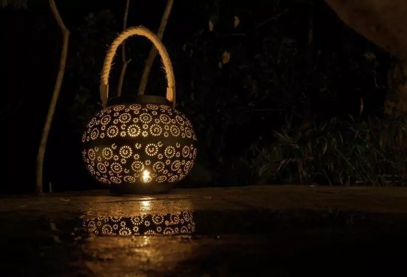Java Rain Resort