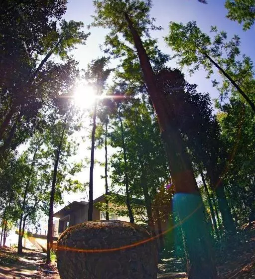 Java Rain Resort