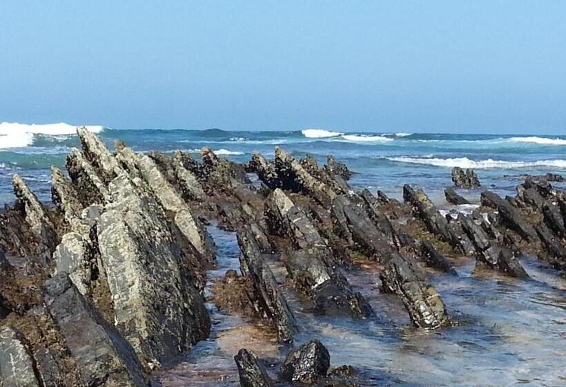 ベッドアンドブレックファースト Herdade Quinta Natura Turismo Rural