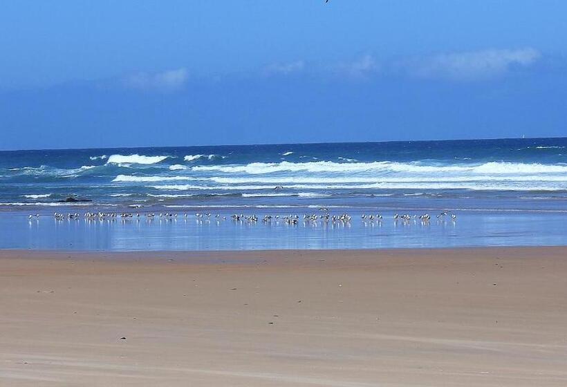 ベッドアンドブレックファースト Herdade Quinta Natura Turismo Rural