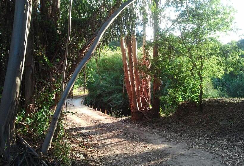 ベッドアンドブレックファースト Herdade Quinta Natura Turismo Rural