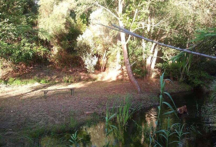 ベッドアンドブレックファースト Herdade Quinta Natura Turismo Rural