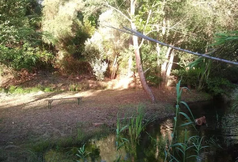 Aamiaismajoitus (B&B) Herdade Quinta Natura Turismo Rural