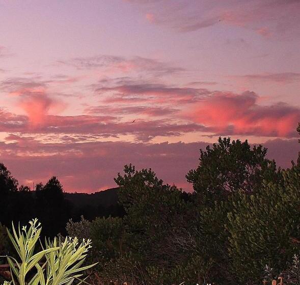 ベッドアンドブレックファースト Herdade Quinta Natura Turismo Rural