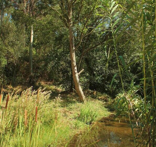 ベッドアンドブレックファースト Herdade Quinta Natura Turismo Rural