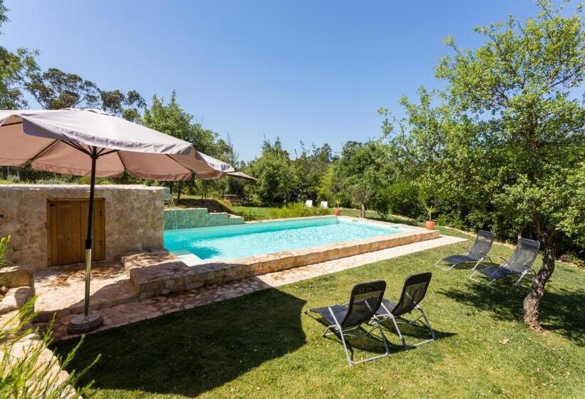 ベッドアンドブレックファースト Herdade Quinta Natura Turismo Rural