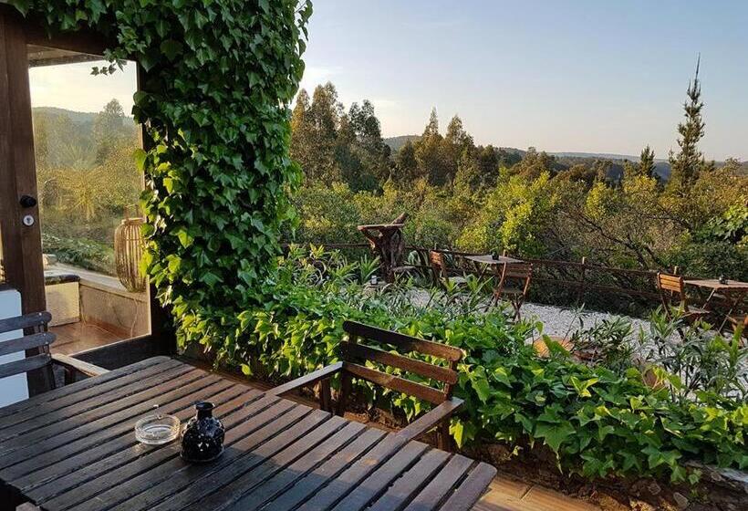 ベッドアンドブレックファースト Herdade Quinta Natura Turismo Rural