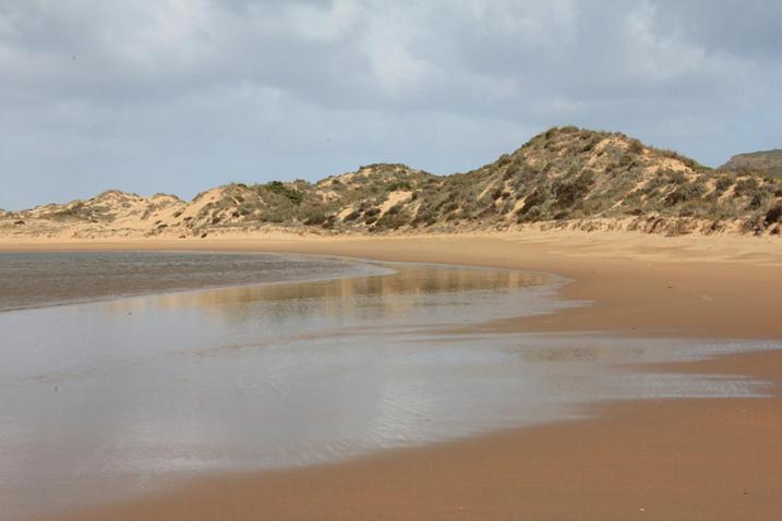 ベッドアンドブレックファースト Herdade Quinta Natura Turismo Rural