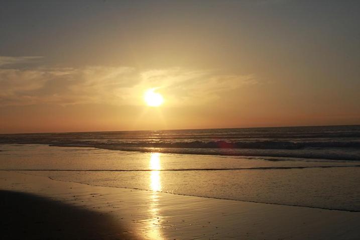 ベッドアンドブレックファースト Herdade Quinta Natura Turismo Rural