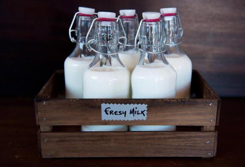 ベッドアンドブレックファースト Herdade Quinta Natura Turismo Rural