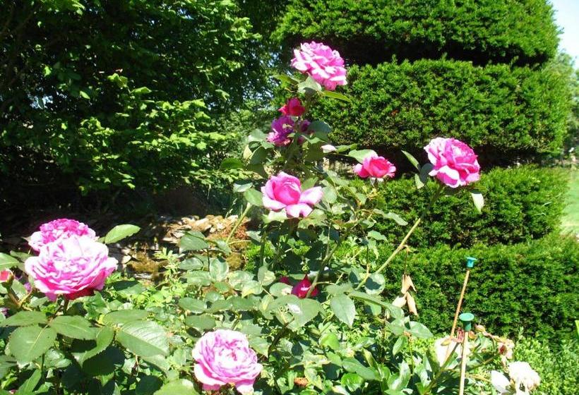 住宿加早餐  The Hill