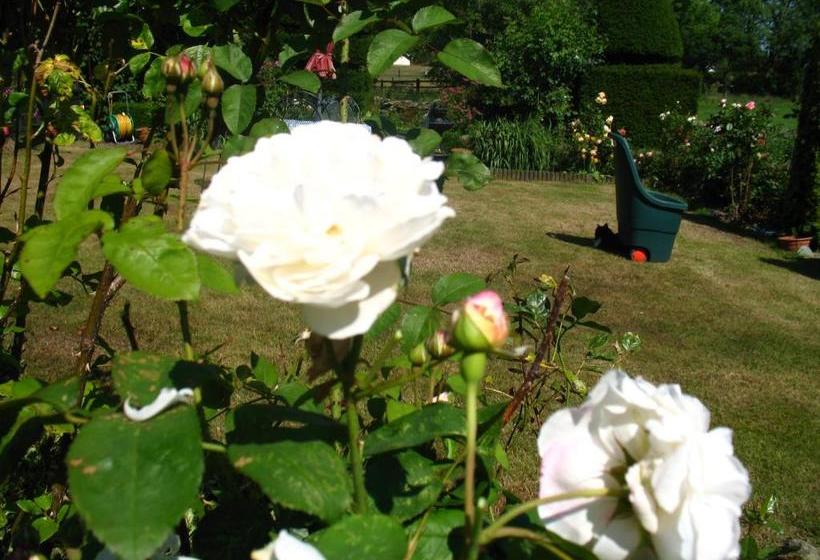 住宿加早餐  The Hill