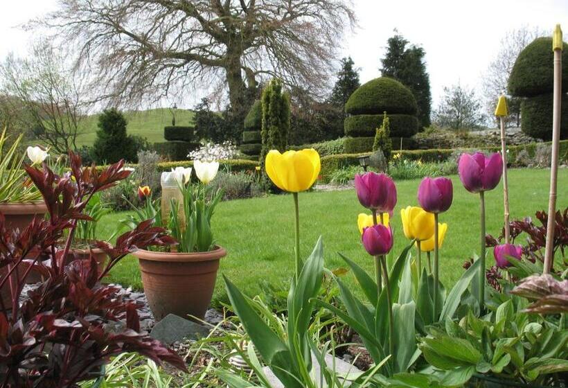 住宿加早餐  The Hill