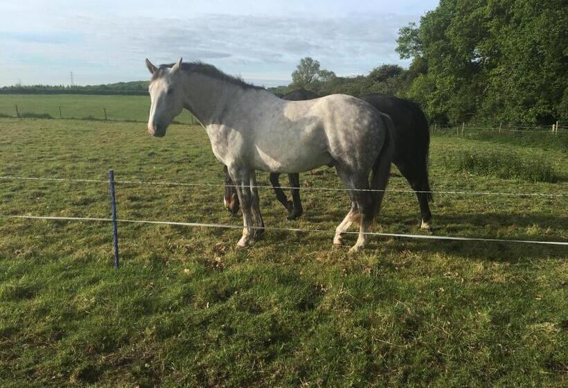 Bridleway Bed & Breakfast