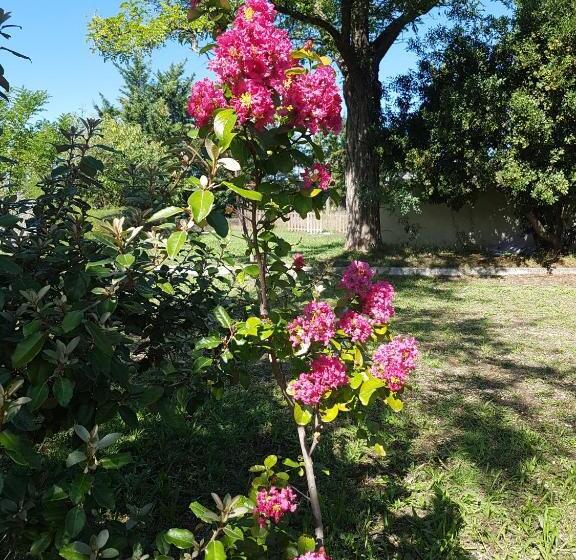 בית מלון כפרי Carina