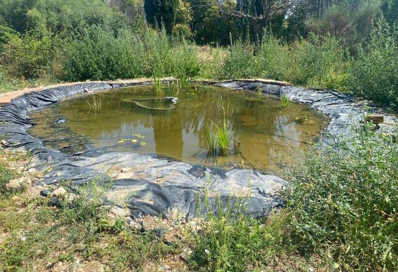 בית מלון כפרי Carina