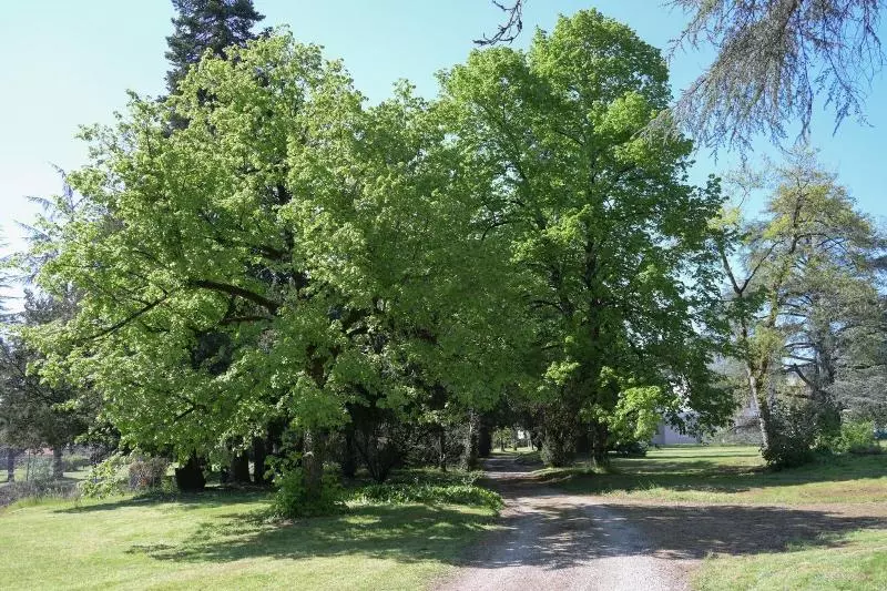 ホテル Cit Hôtel La Résidence