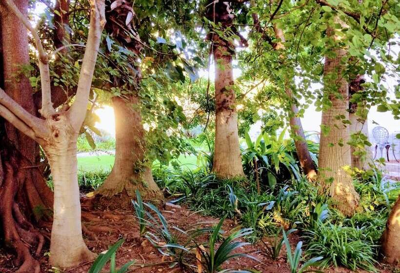 בית מלון כפרי Polokwane Place